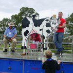 cow milking03620